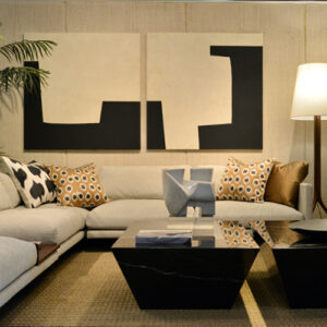 Living y Sala de Estar